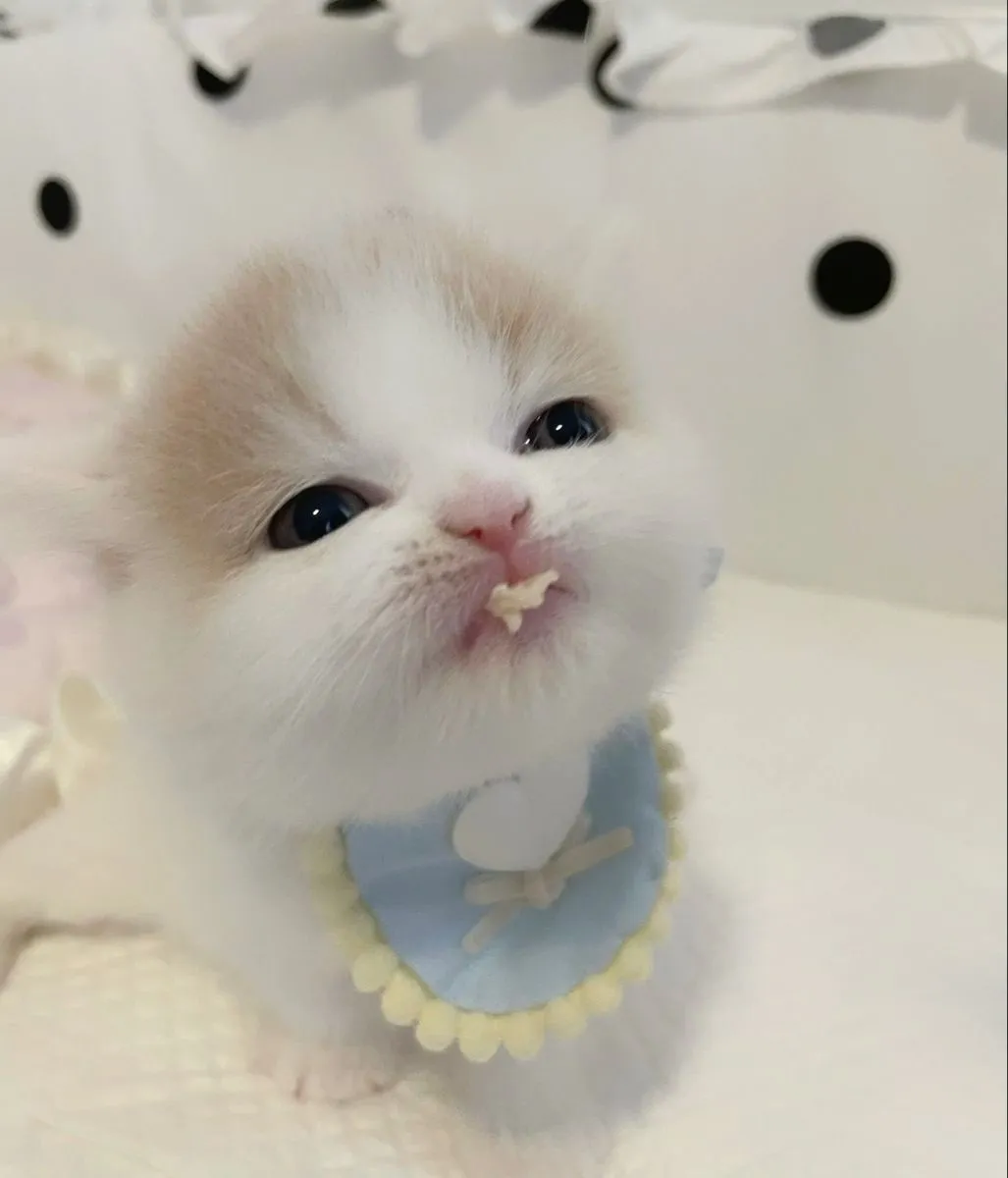 Очень кусьна!
