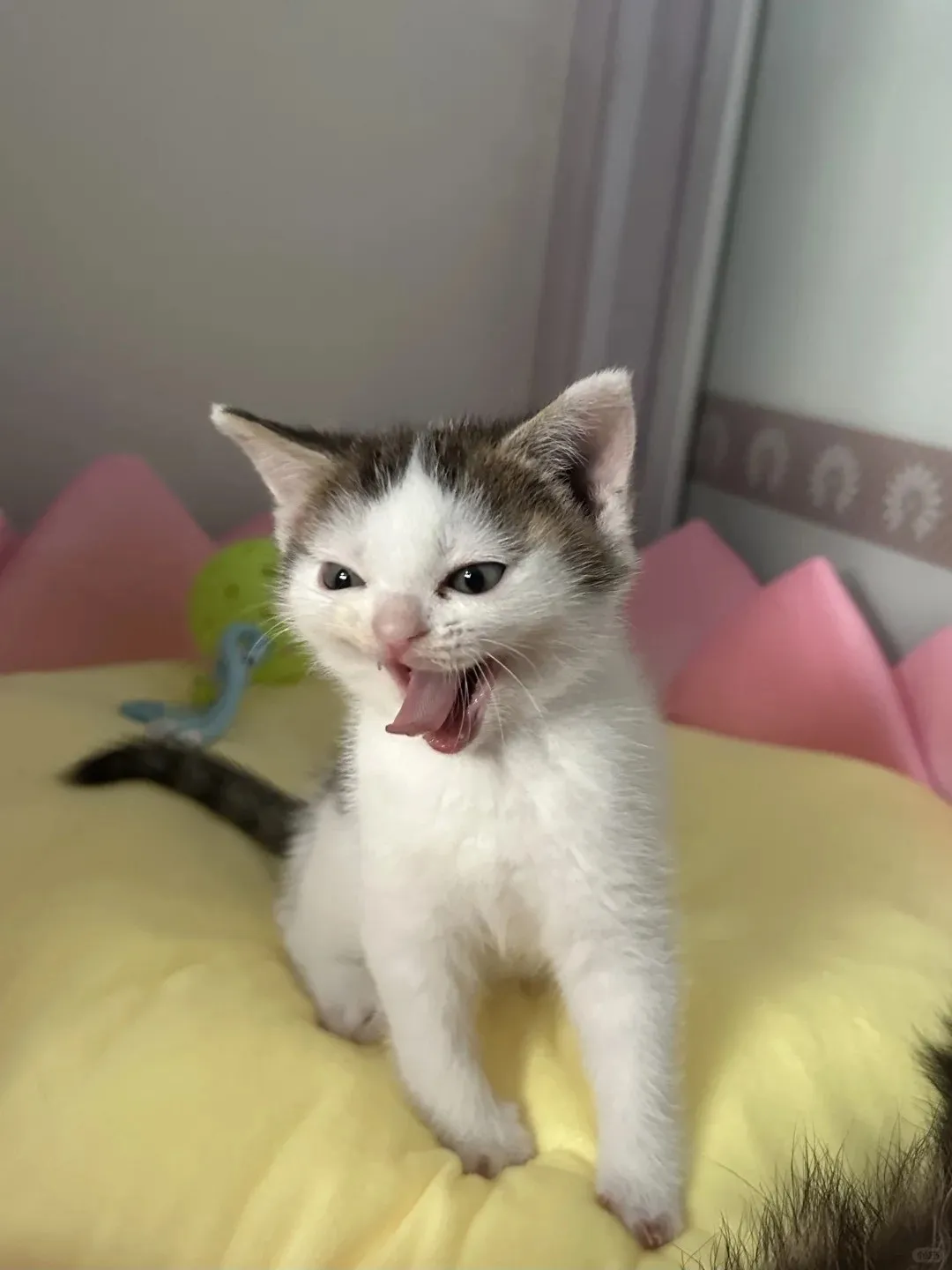 Картошка #2