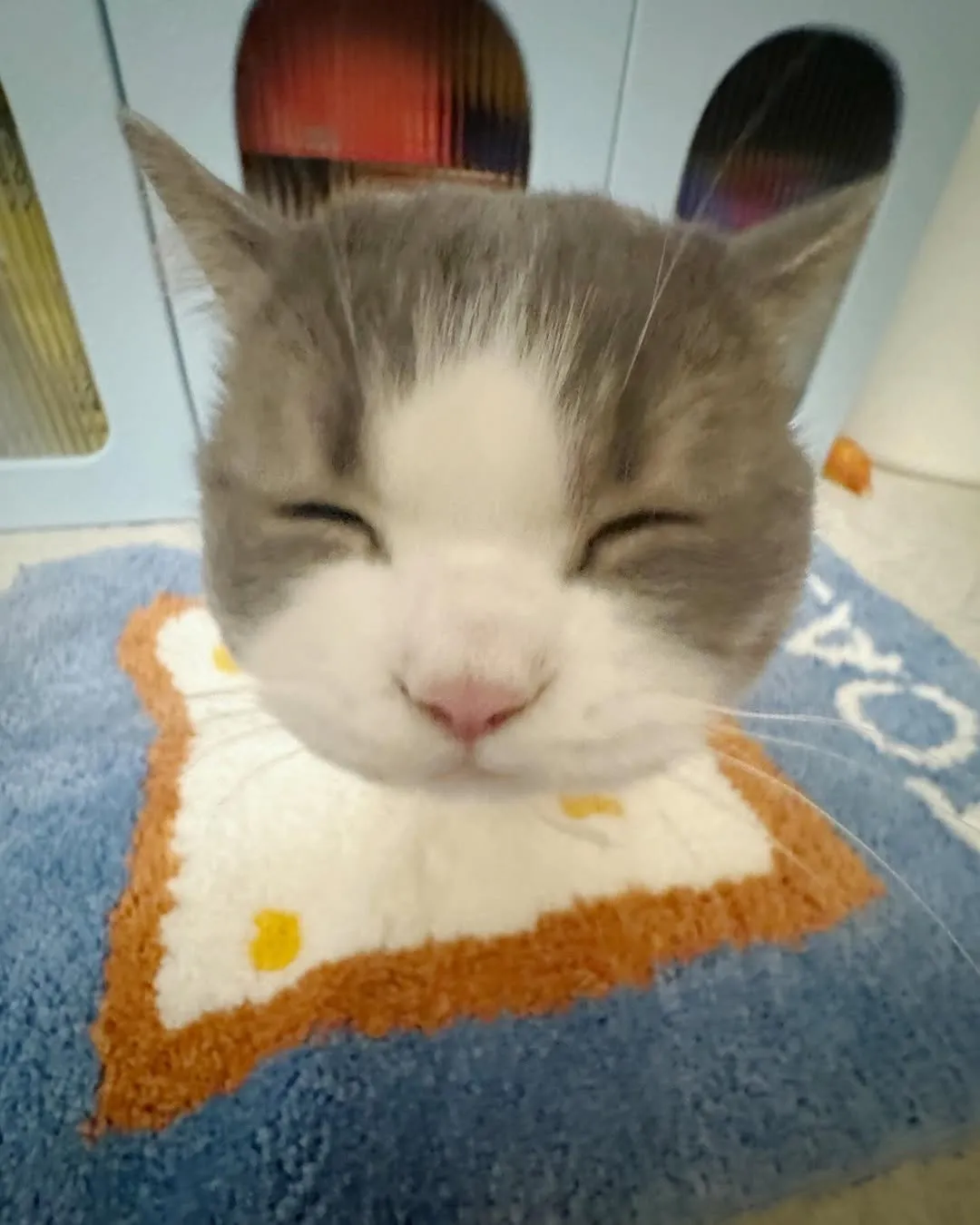 Говорят, что котики снимают стресс. Ага, как же!  🐾 #2