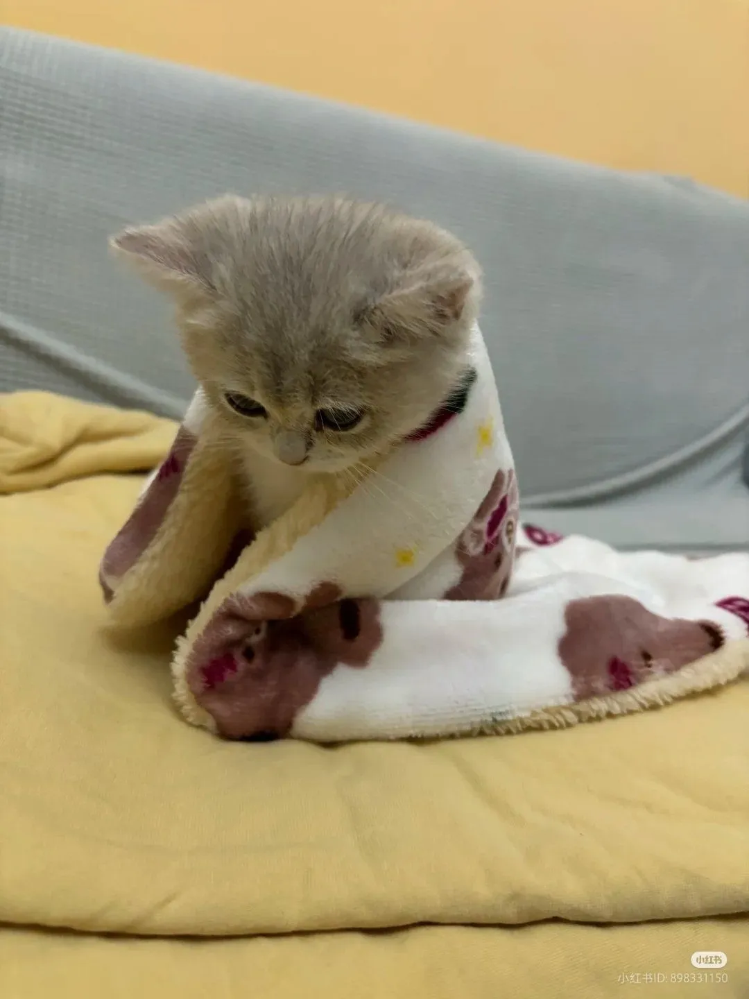 Фотоистория! #276 #2