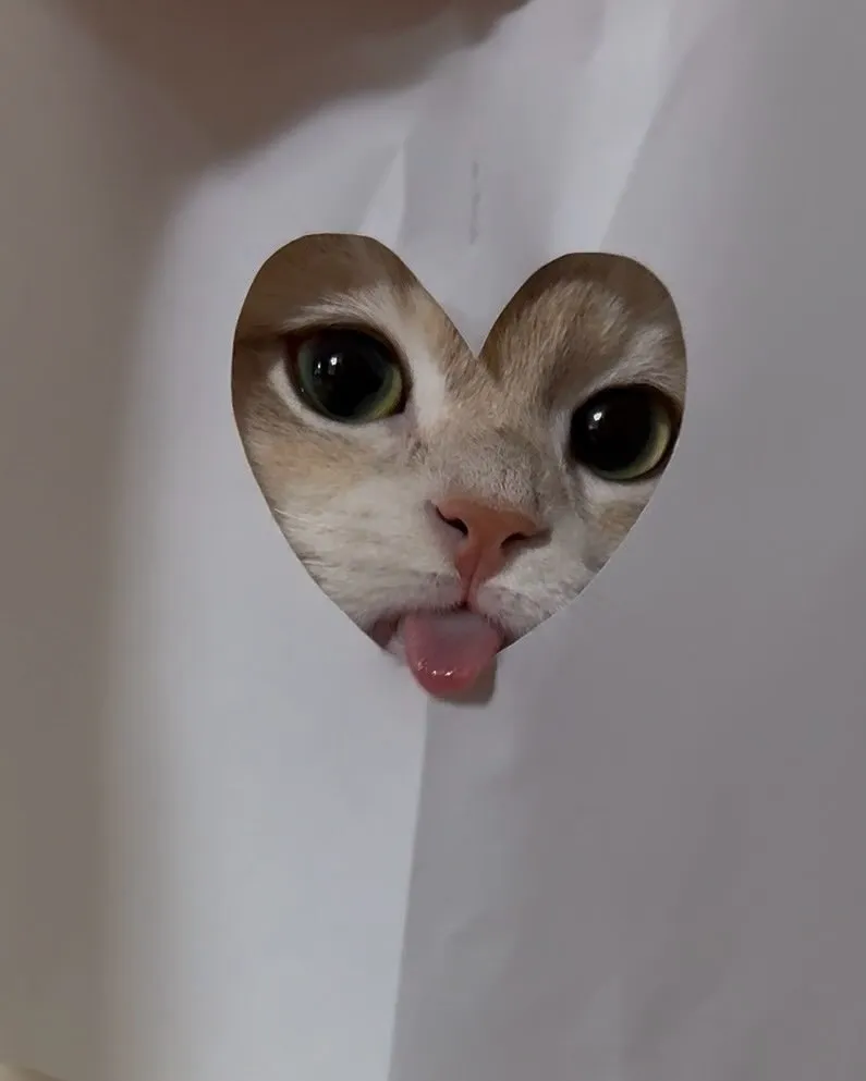 My Cat Is a Kawaii Girl #1