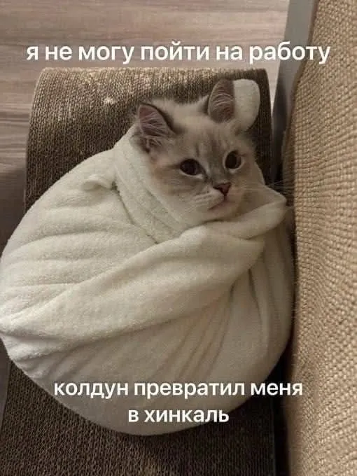 Уже ужинали?😏 #2