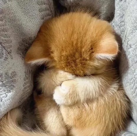 С Добрым Утром🐾 😉👍 #2