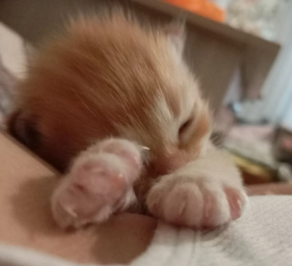 🥰👍 #2