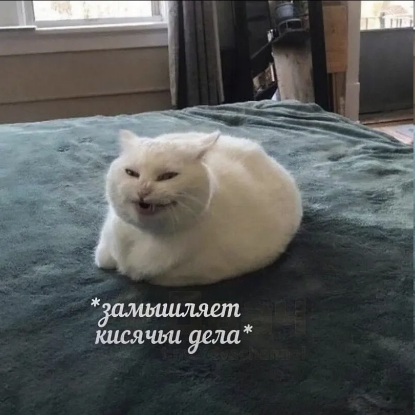 Ура!  #1
