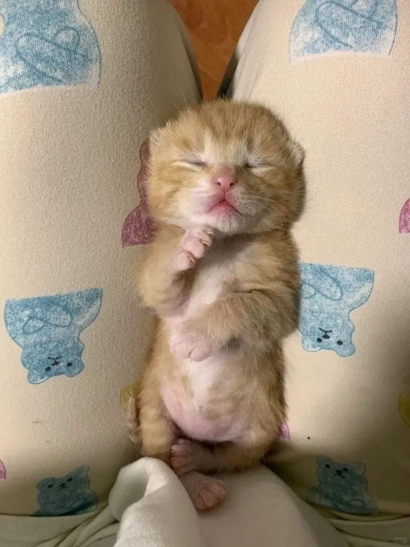 Уже утро? #2