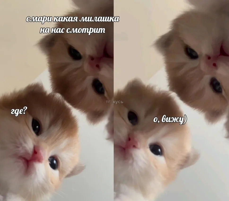Маленькое сообщение #2