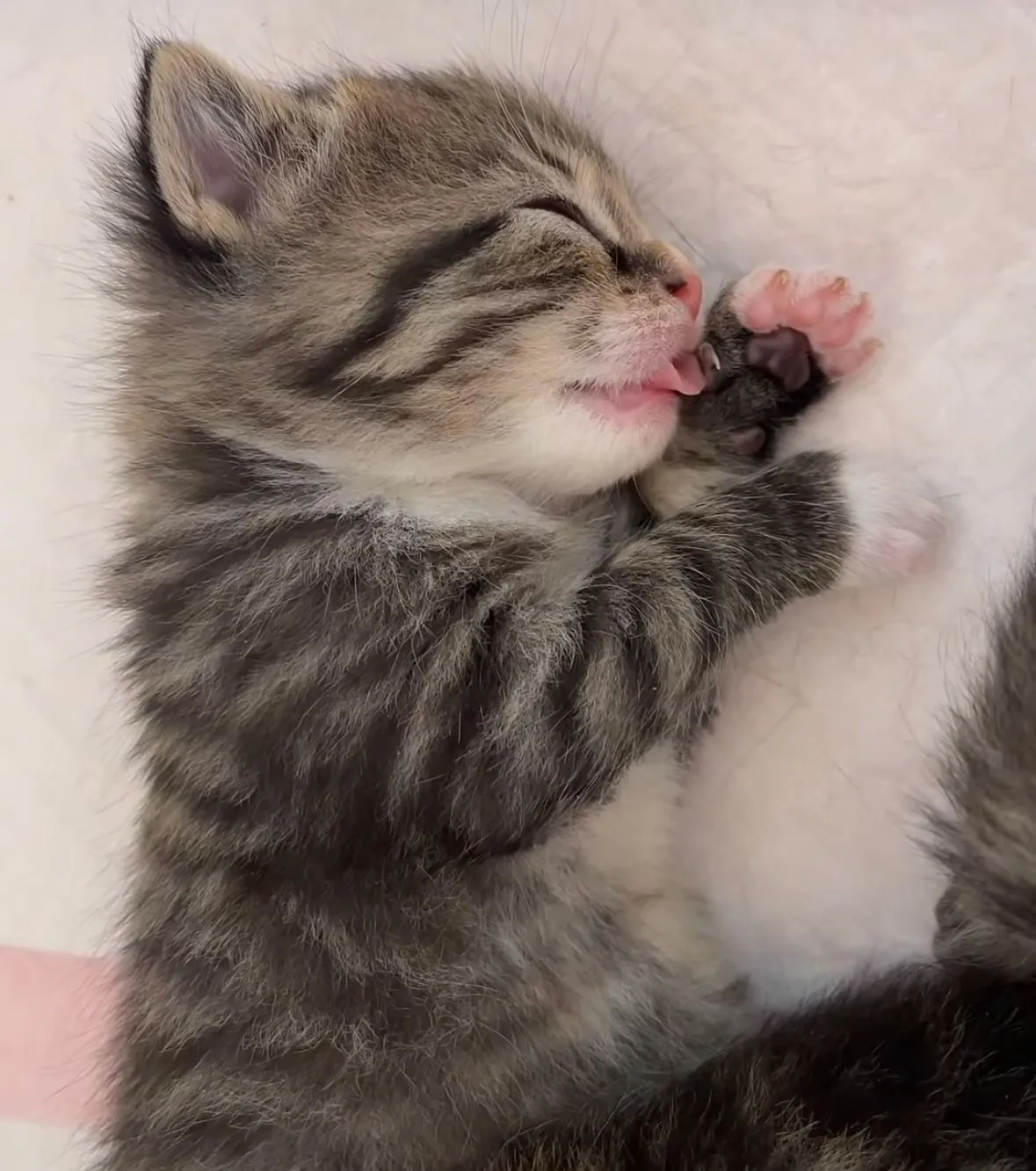 С Добрым Утром🐾 🥰 #2