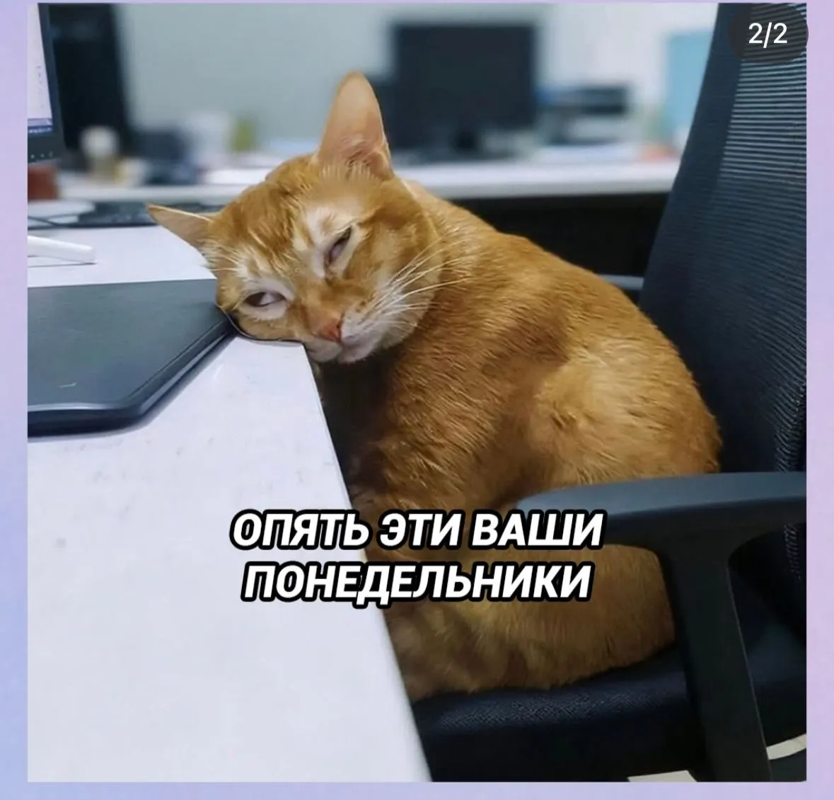 Понедельник #2