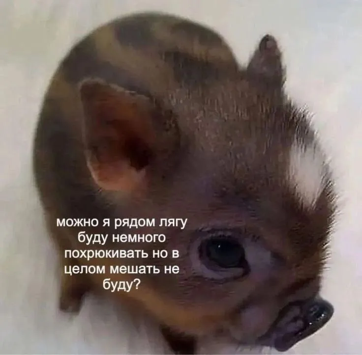 С Пятницей 😉👍 #1