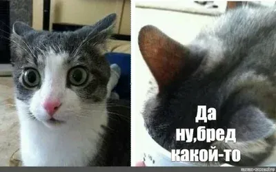 Задача 16.11-1 #1