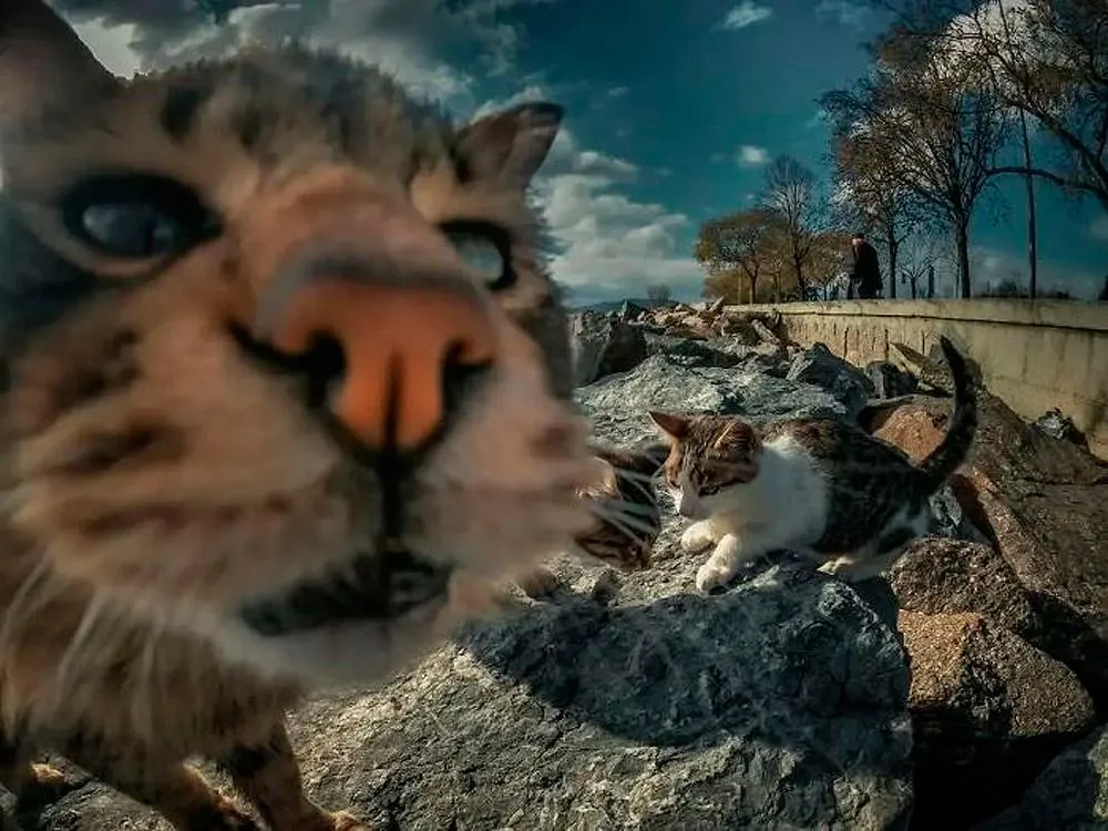 Привет👋 #2