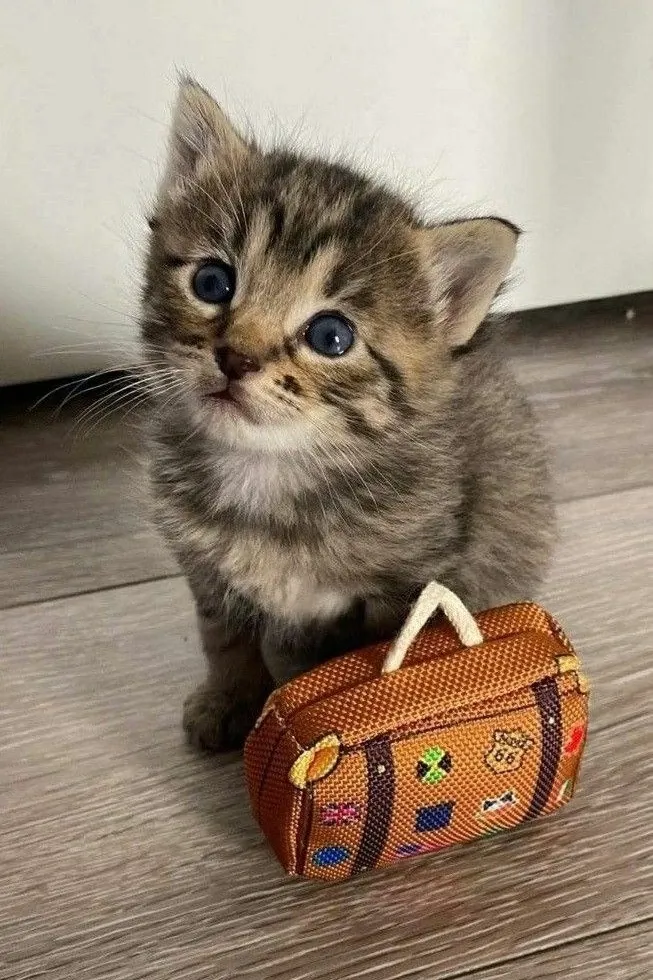 😀 #2