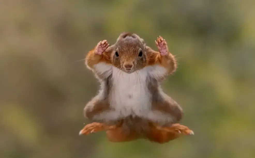 С Добрым Утром 🐿 #2