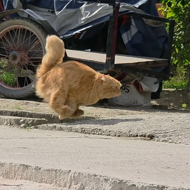 Челлендж принимаете?😏 #2