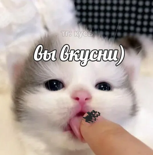 ИЗВИНИТЕ #2