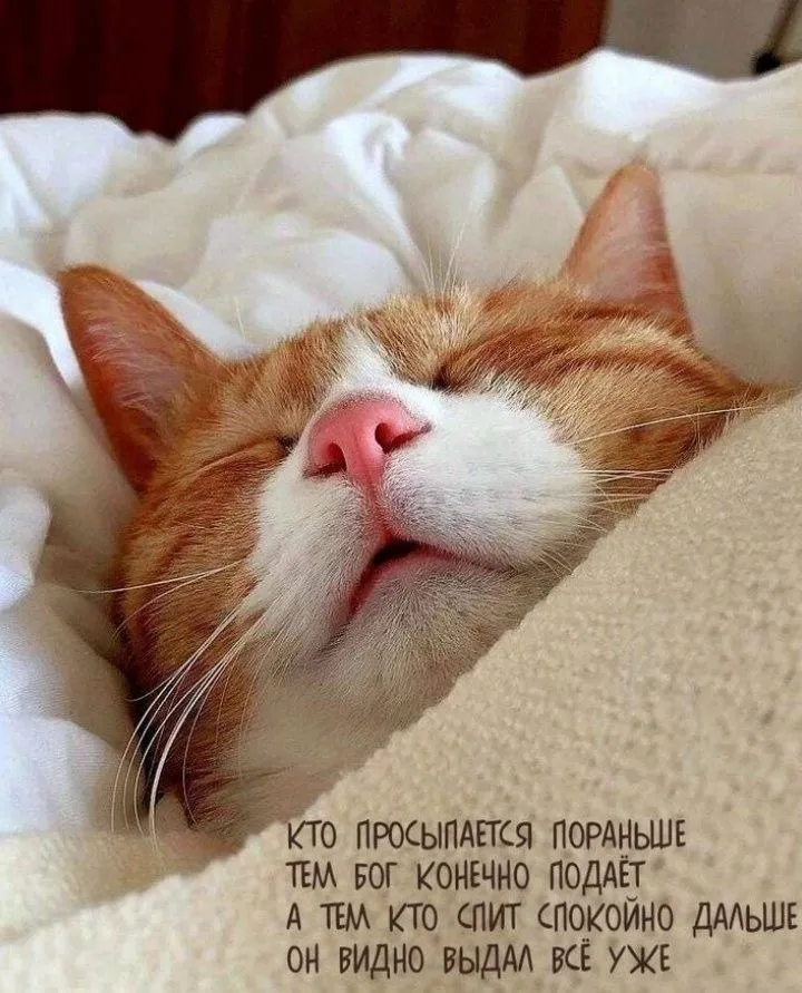Когда узнал, что уже понедельник 🐾😉👍 #1