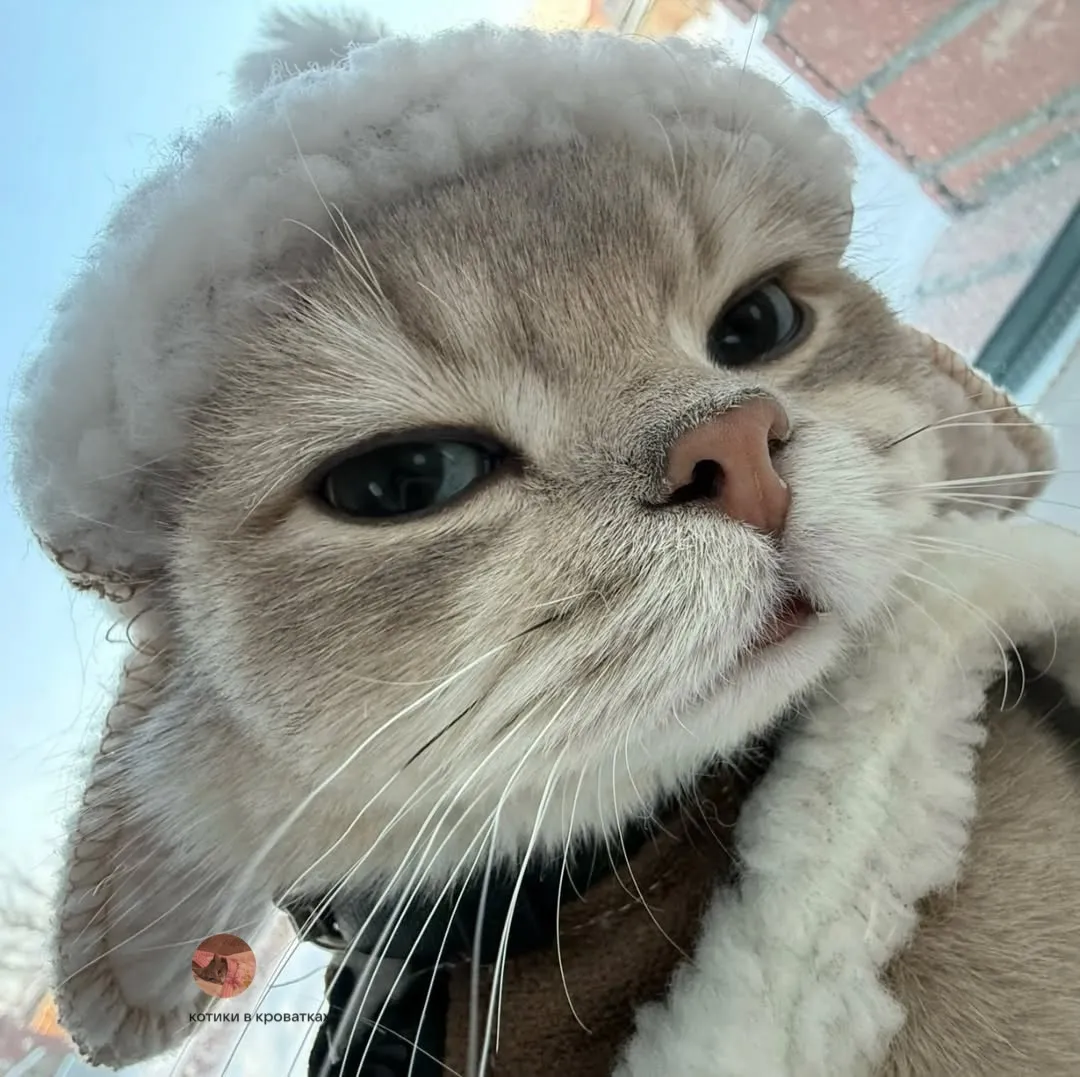 Я устала просить прощения 😭 #2
