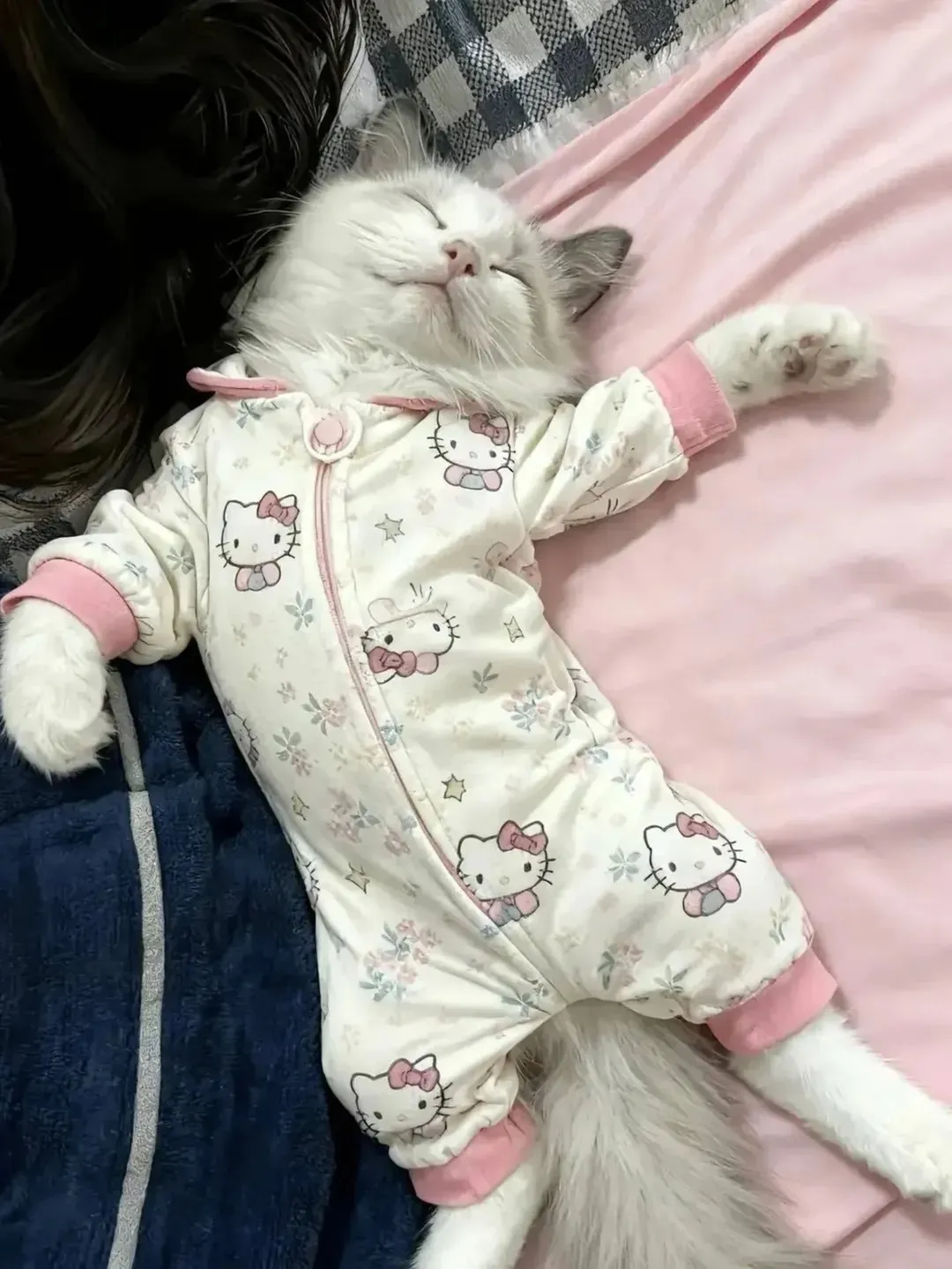 С Добрым Утром🐾🐈🌞 #2