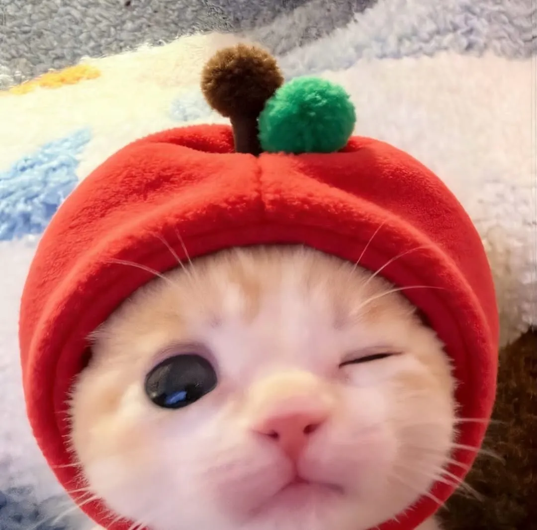 Смотрите внимательно!  #2