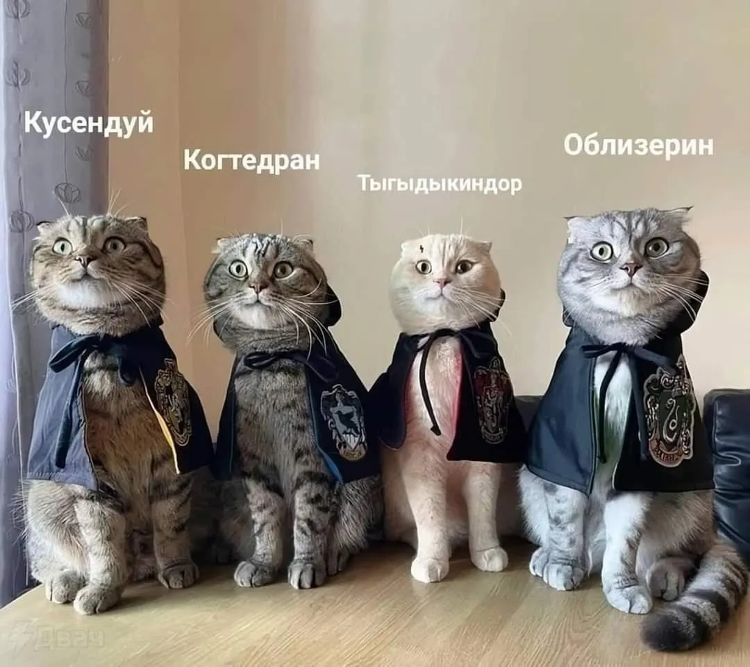 Кошки (акрил).  #2