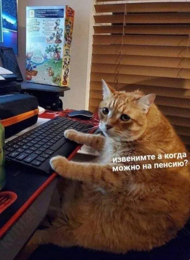 Вопрос #2