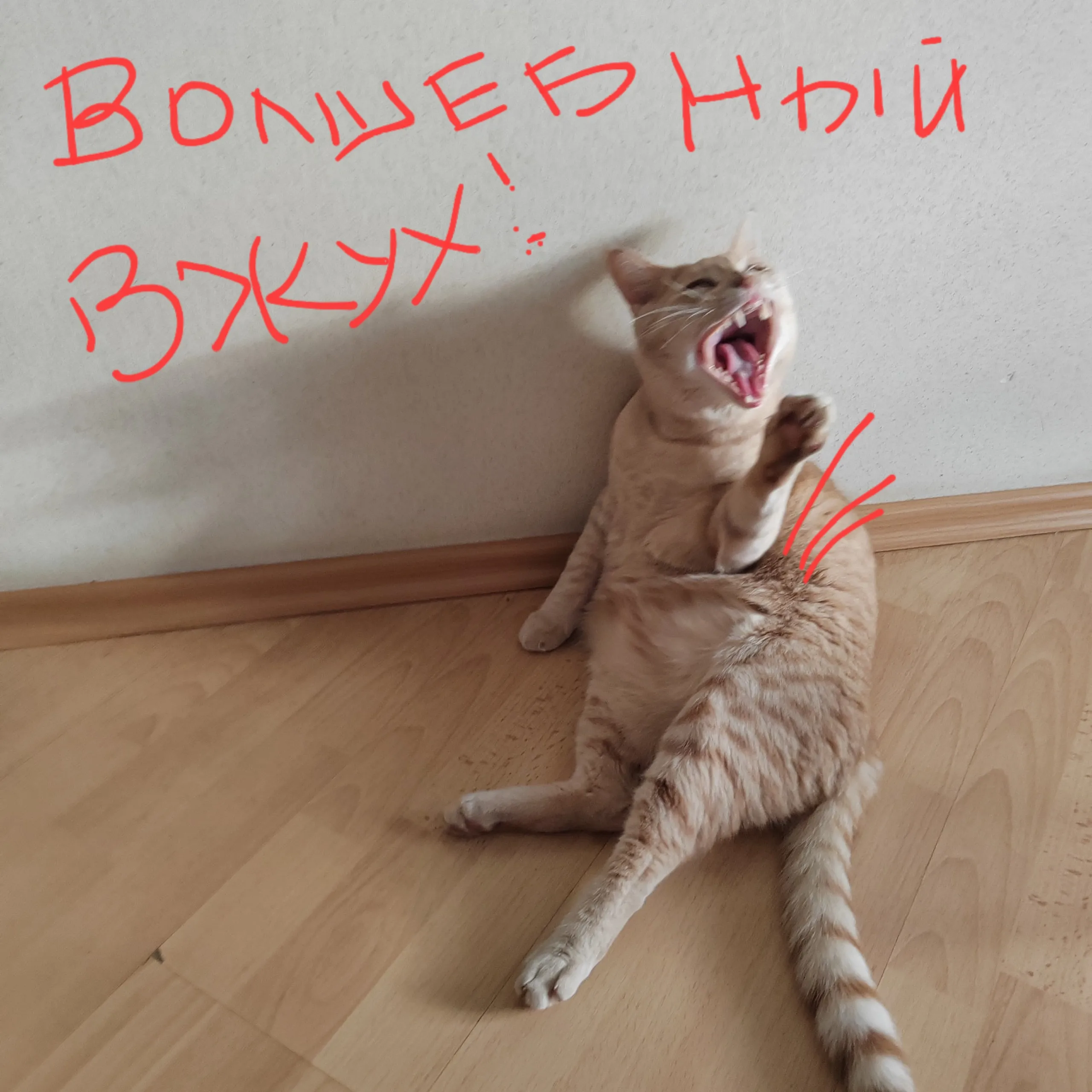 А ведь год только начался  #2