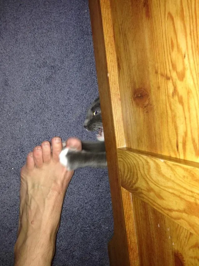 .