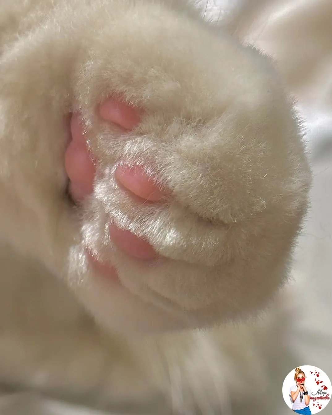 С Добрым Утром🐾🌞 🥰 #2