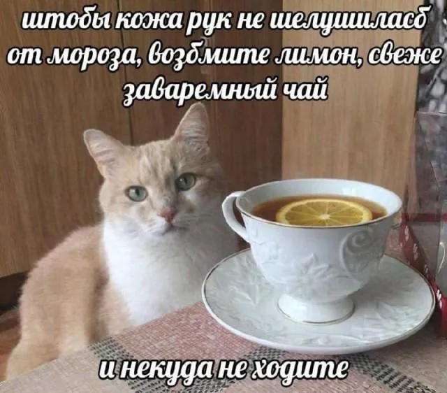 Доброго утра #1