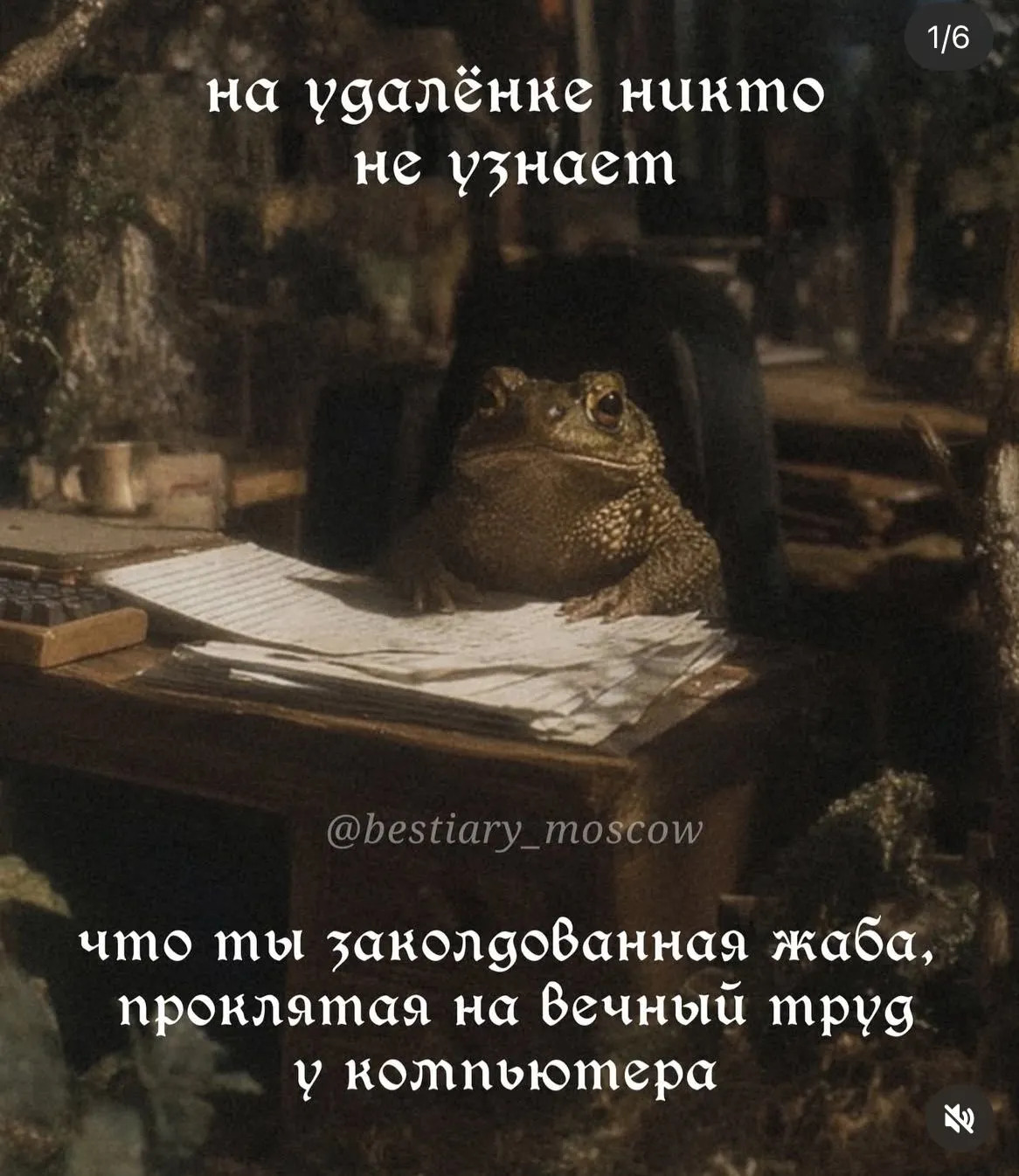 А какой день недели сегодня, мои чюваки? #1