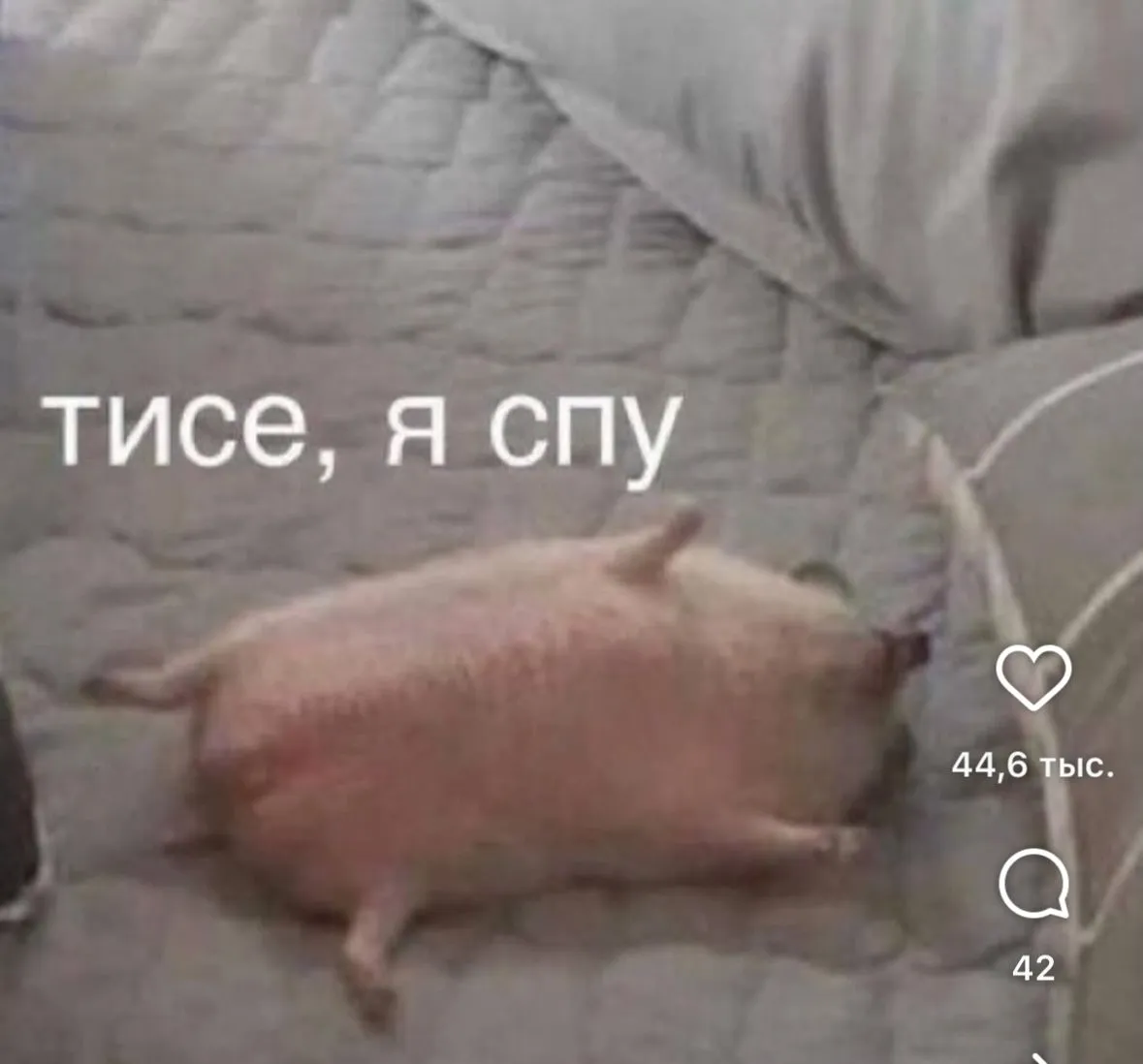 С Добрым Утром🐾🌞😉 #1