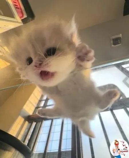 Доброе утро! 🐾 #2