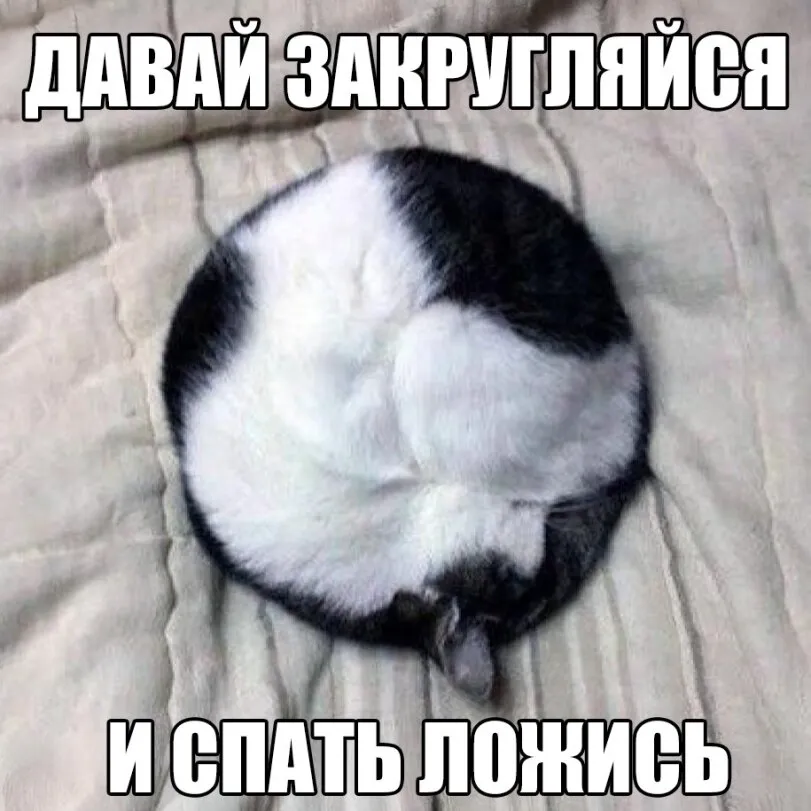 С Добрым Утром🐾🌞🐈 #1