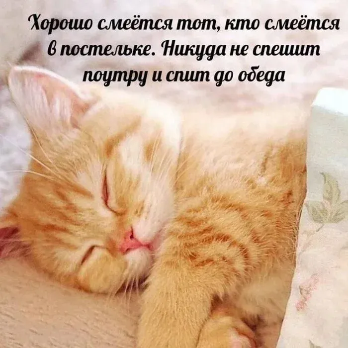 С Добрым Утром🐾🌞 🐭 #1