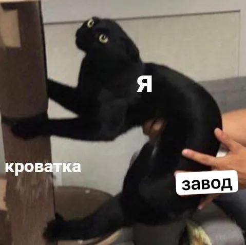 Опять понедельник 🙃 #2