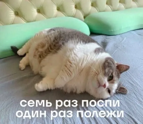 С Добрым Утром🌞🐾 #2