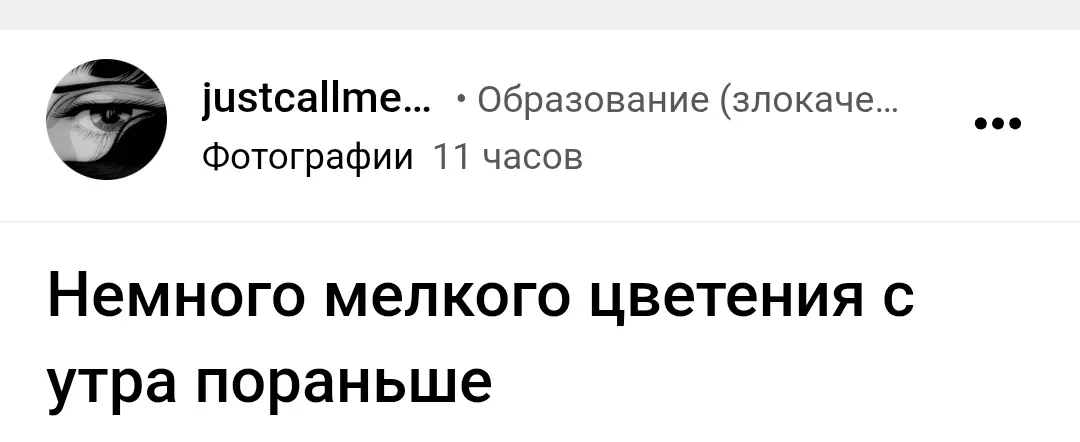 Первая мысль - Душенька Мелкое Цветение написала пост 😁