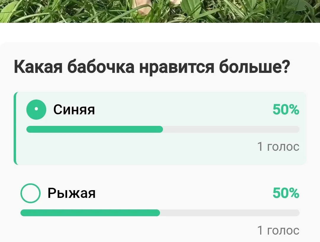 Ваш вкус в бабочках: #2