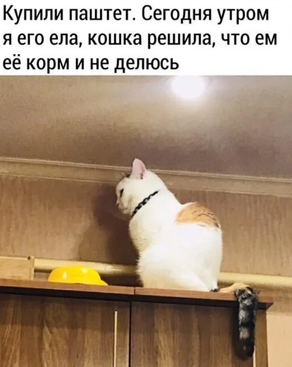 Я отрекаюсь от тебя. #1