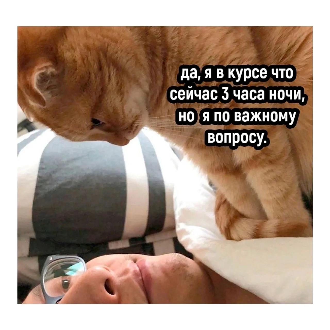 Почему миска пустая? #1