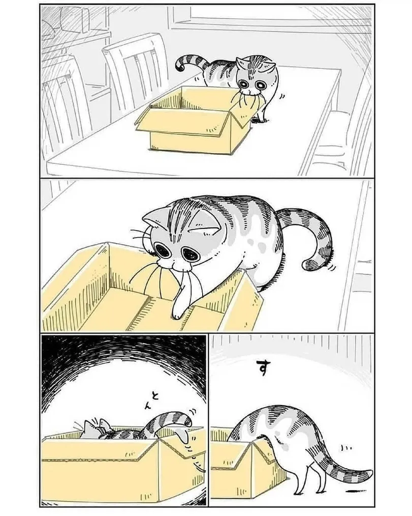 Коты это жидкость. #1
