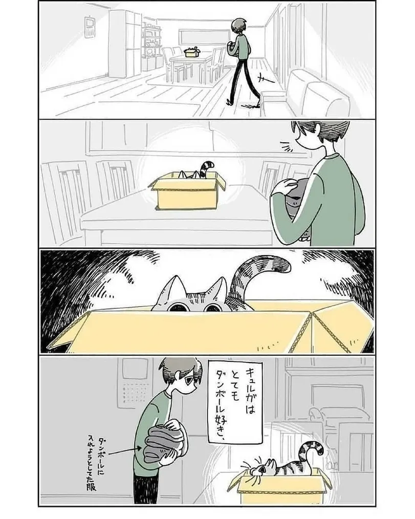 Коты это жидкость. #2