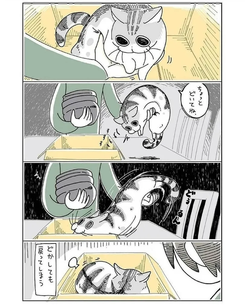 Коты это жидкость. #3