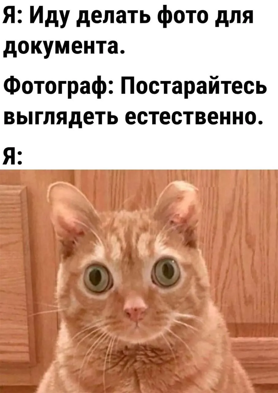 Как в жизни. #1