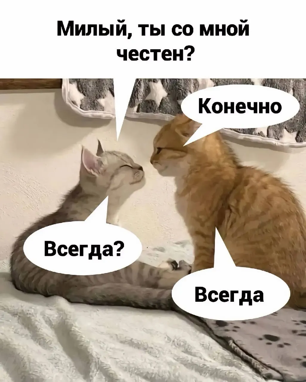 Честность. #1