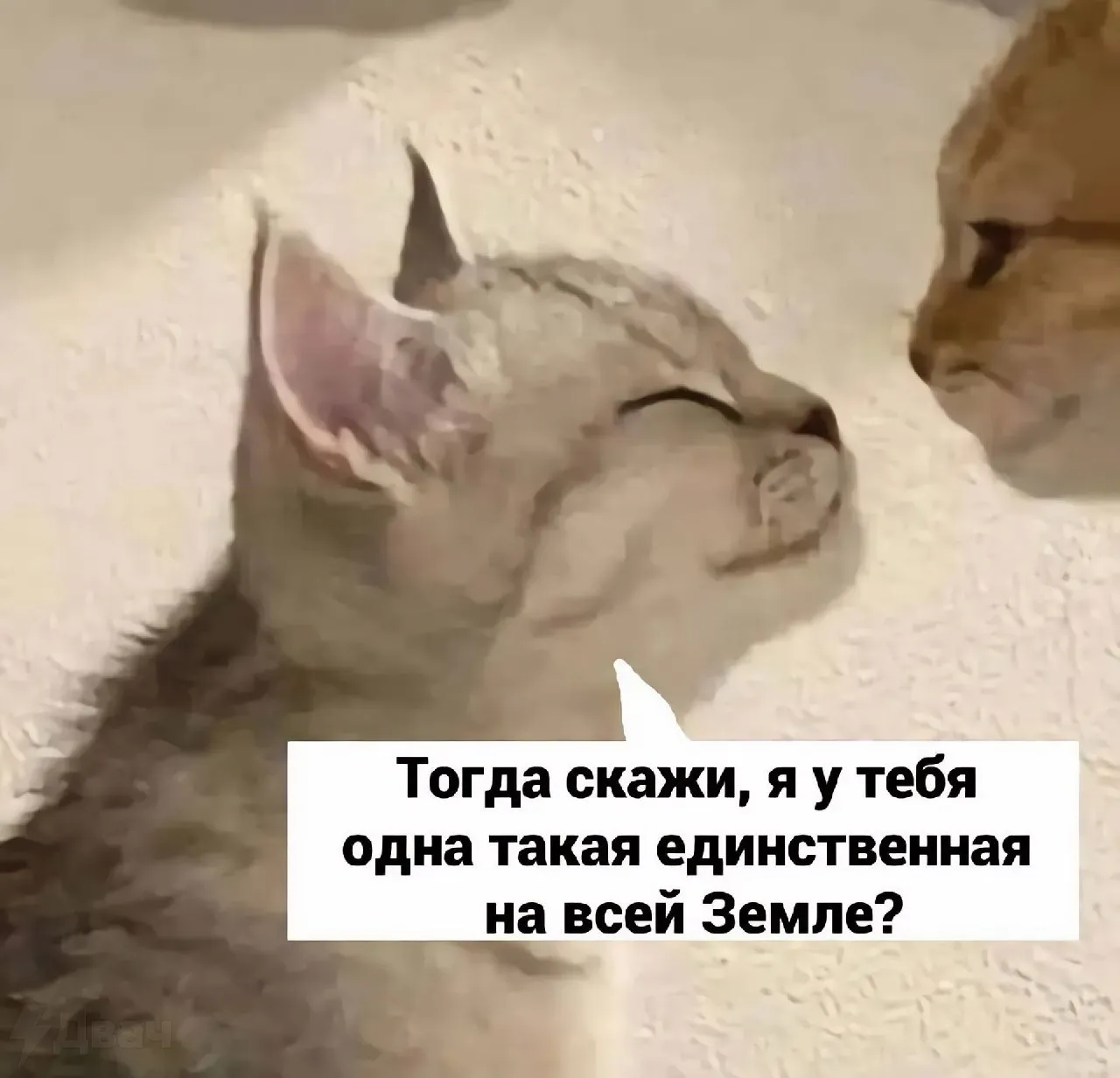 Честность. #2