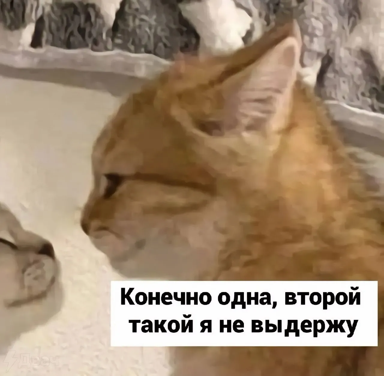 Честность. #3