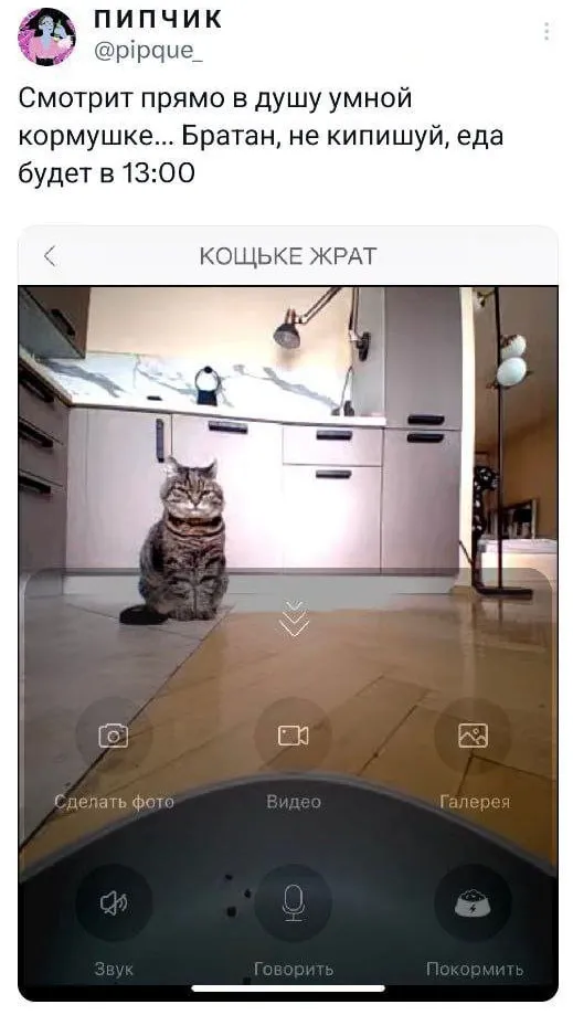 Глупая железяка. #1