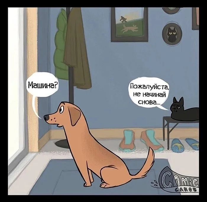 Жизнь домашних животных. #1